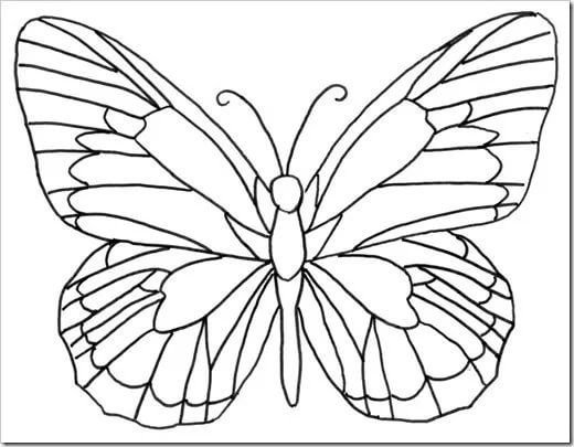 Витраж бабочка трафарет