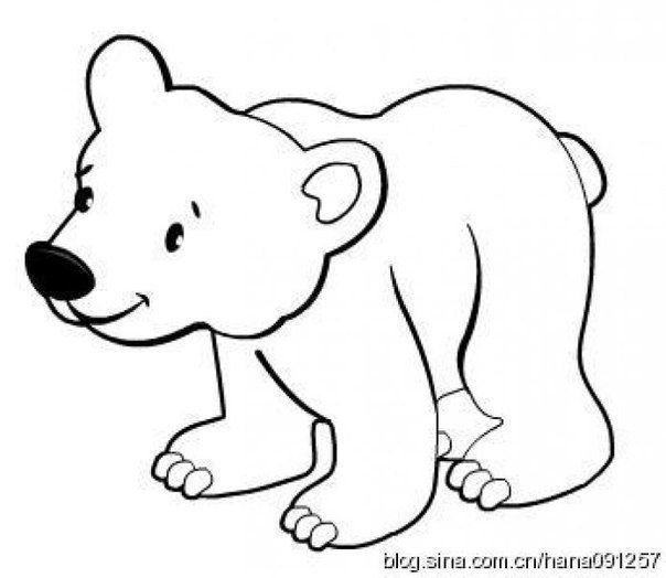 Медведь раскраска