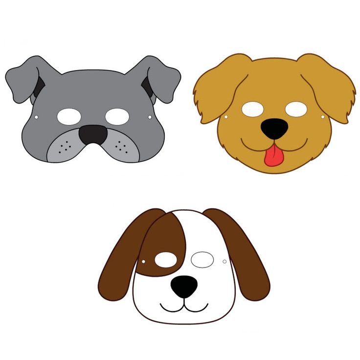 Мордочка собачки