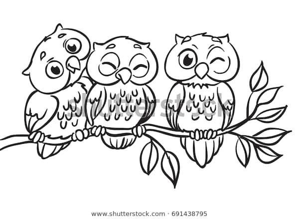 Сова на ветке раскраска для детей