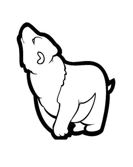 Белый медведь раскраска