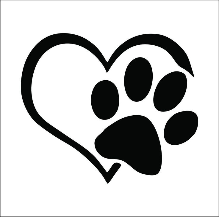 Собачья лапка