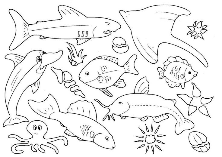 Рыбка раскраска для детей