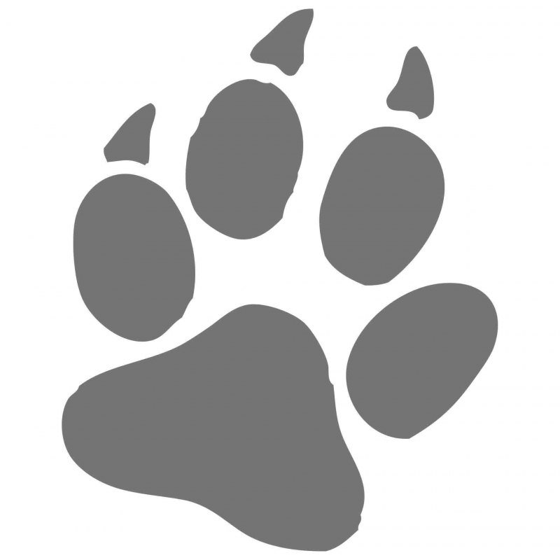 Отпечаток собачьей лапы