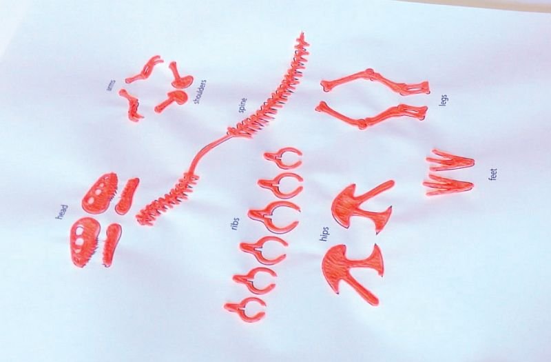 Трафарет для 3д ручки скелет