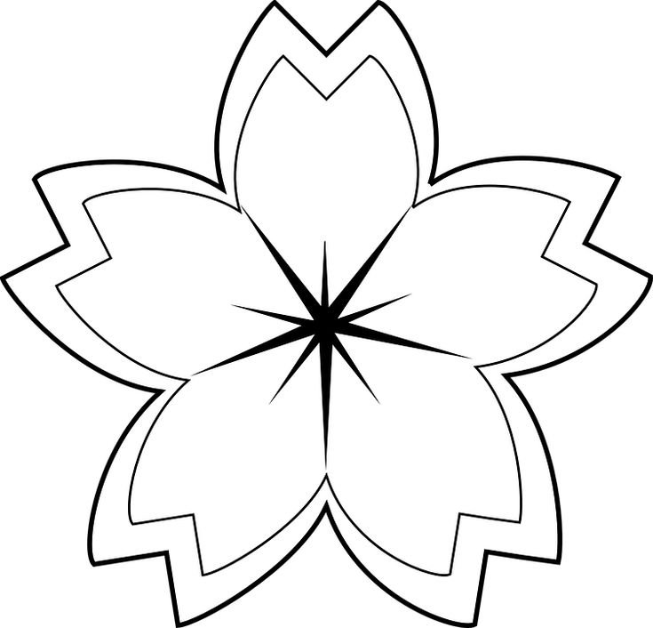 Трафареты цветов