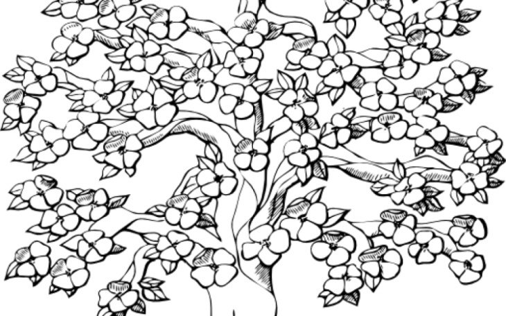 Раскраска Сакура дерево