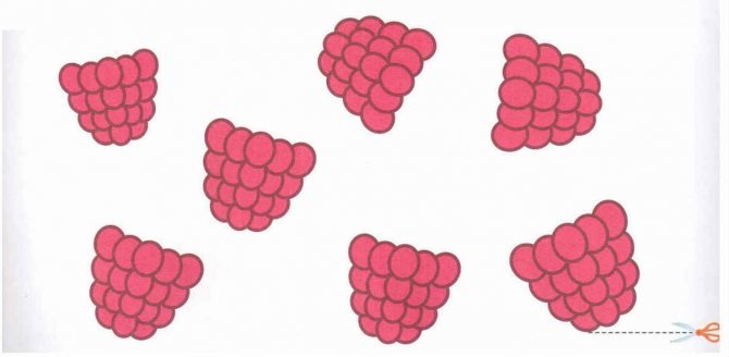 Рисование малина средняя группа