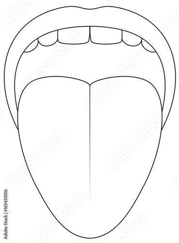 Язык схематично