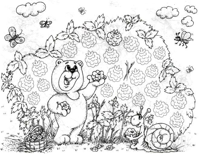Медведь раскраска