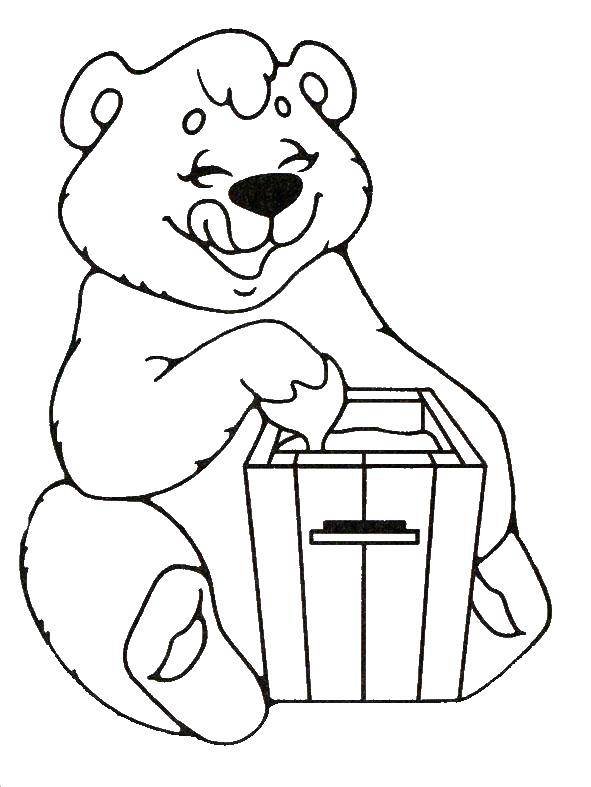 Раскраска. Медвежонок