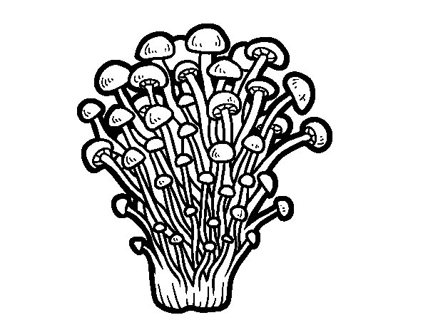 Раскраска грибы опята