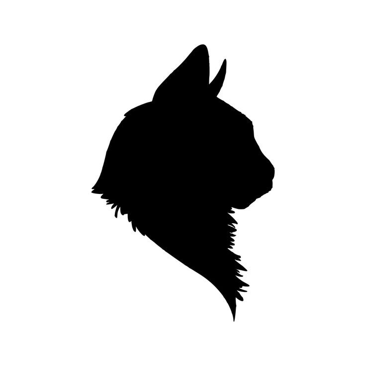 Силуэт кошачьей головы