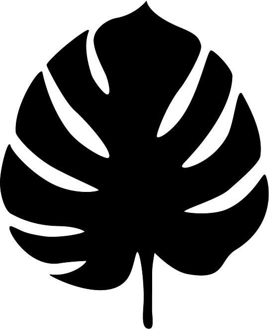 Monstera Leaf контур