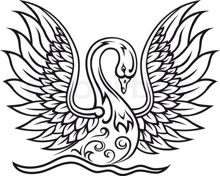 Лебедь раскраска для детей