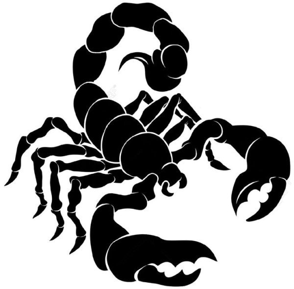 знак зодиака скорпион