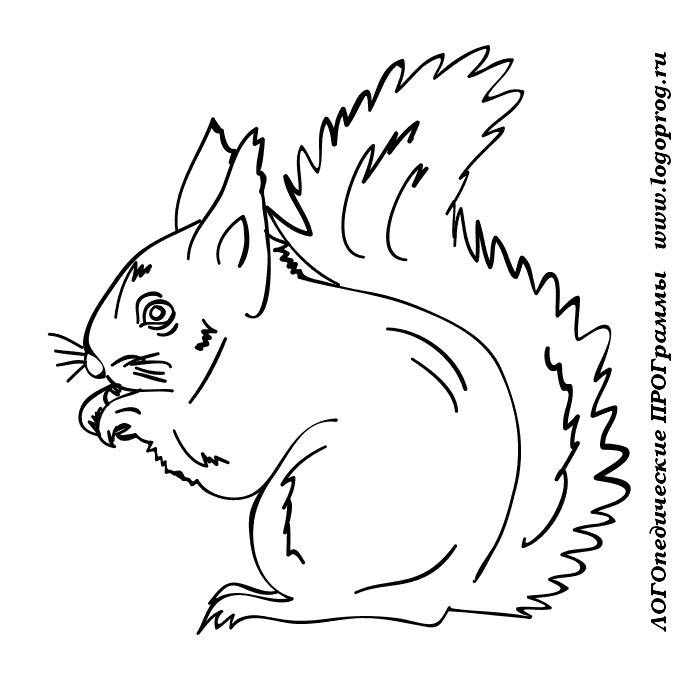 Дикие животные картинки для детей раскраски