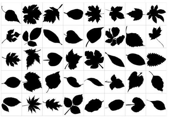 Силуэт дерева с листочками