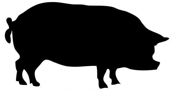 Трафарет свиньи для вырезания