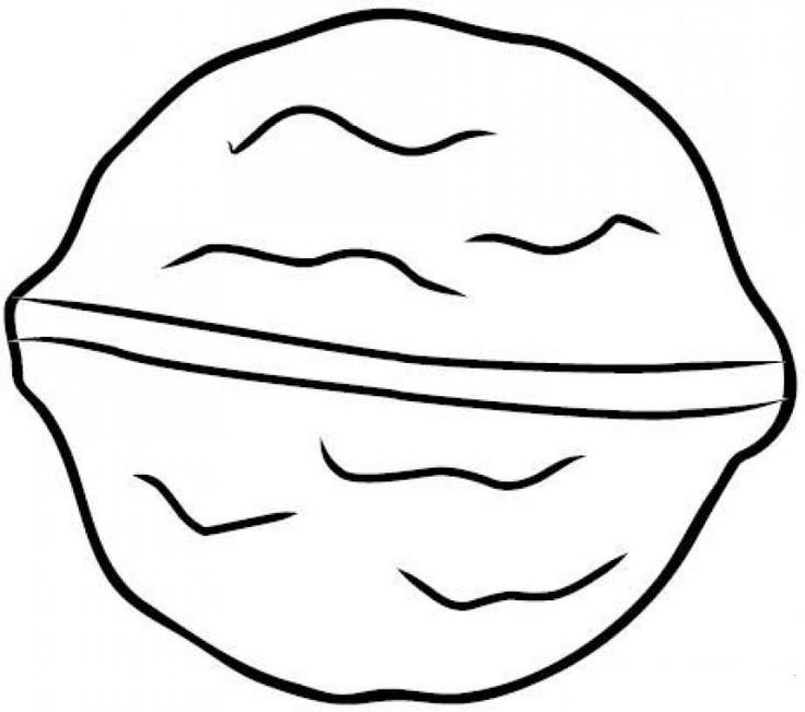 Орехи для раскрашивания для детей