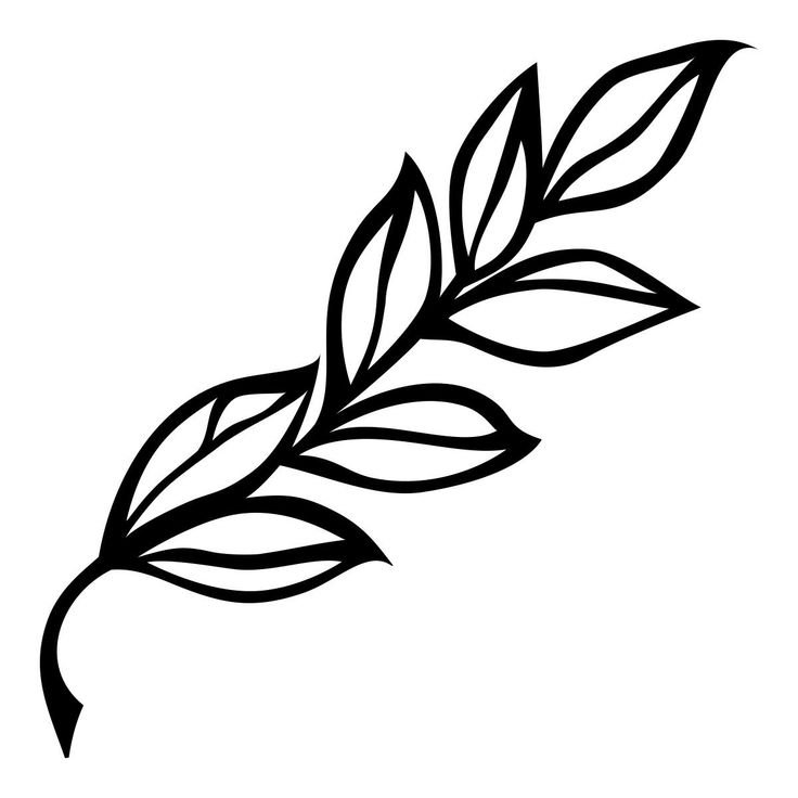 Листья эскиз