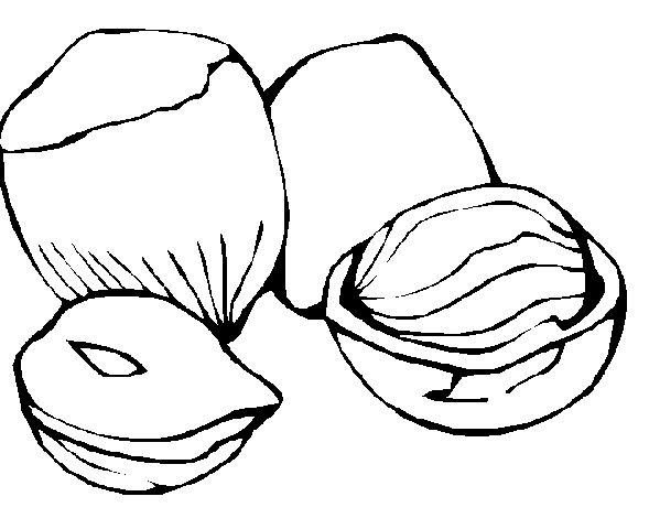 Орех раскраска