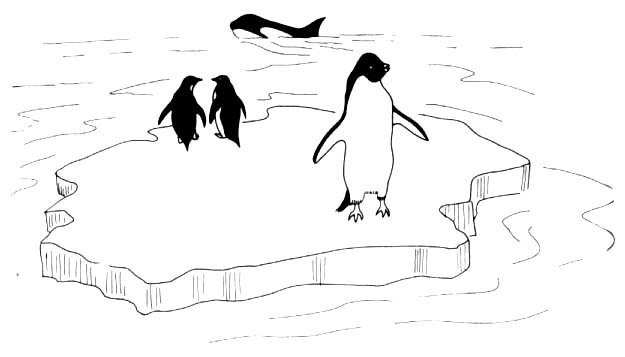 Рисование пингвины на льдине