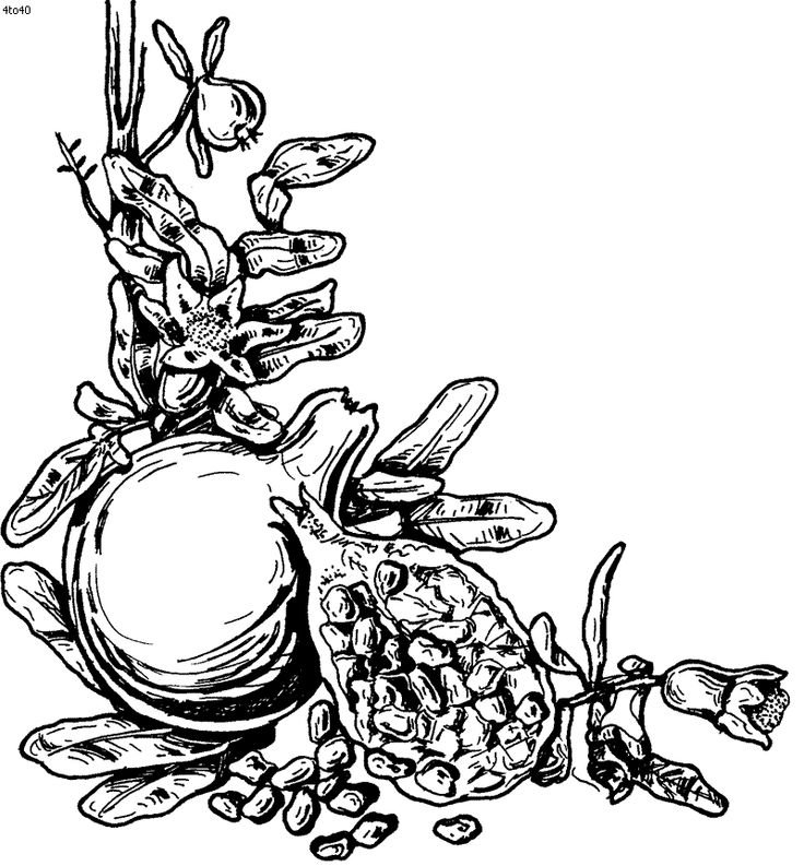 Гранат Графика