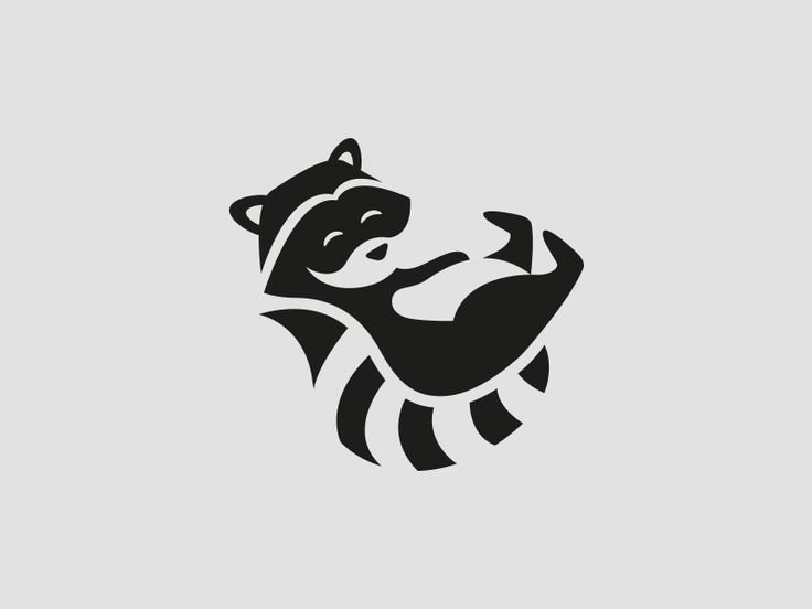 Енот стилизация