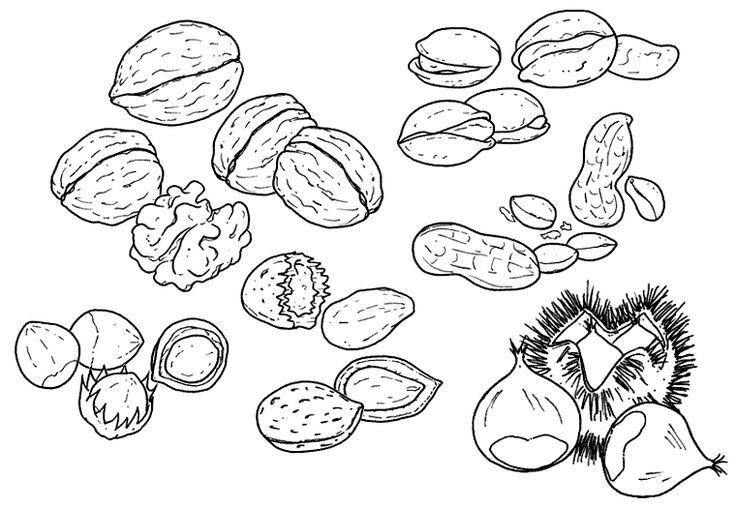 Орешки раскраска