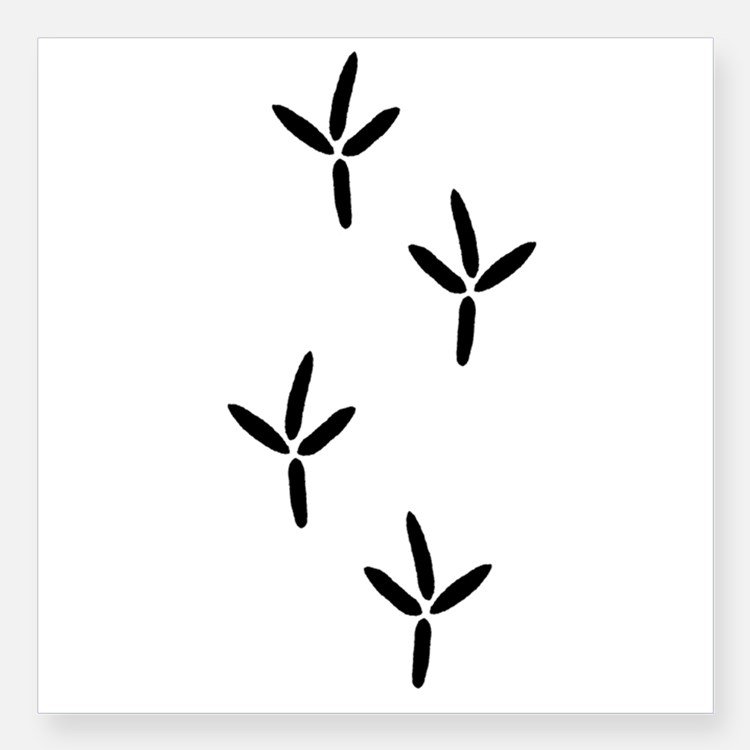 Следы птички