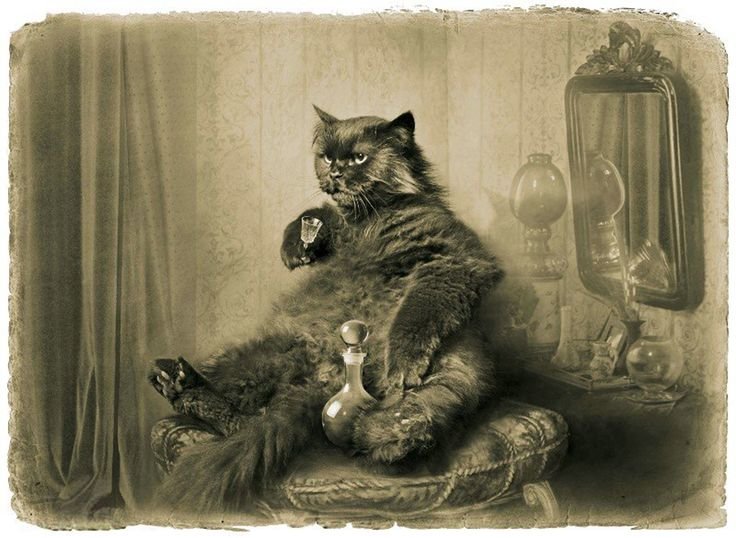 Кот Бегемот и Маргарита