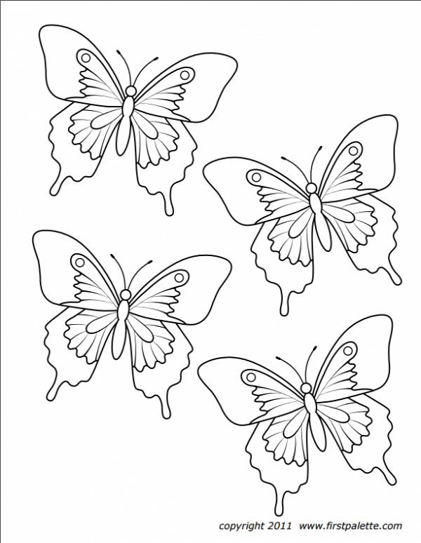 Контуры бабочек для декора