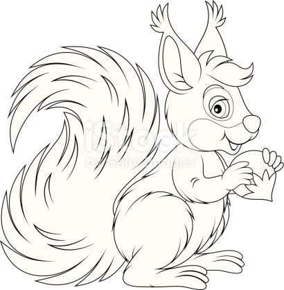 Белочка с орешком раскраска