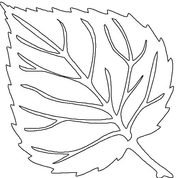 Листья шаблоны для вырезания