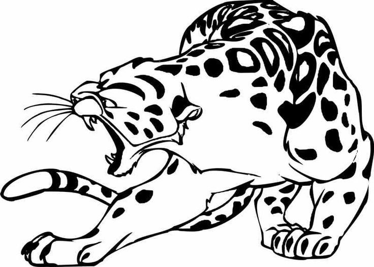 Снежный Барс Ирбис вектор