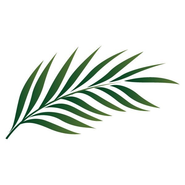 Пальмовая веточка