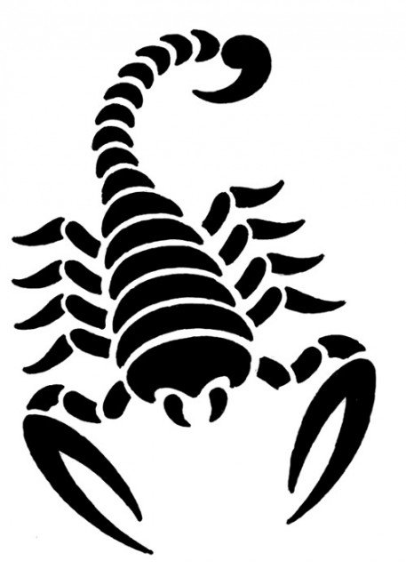 Скорпион рисунок