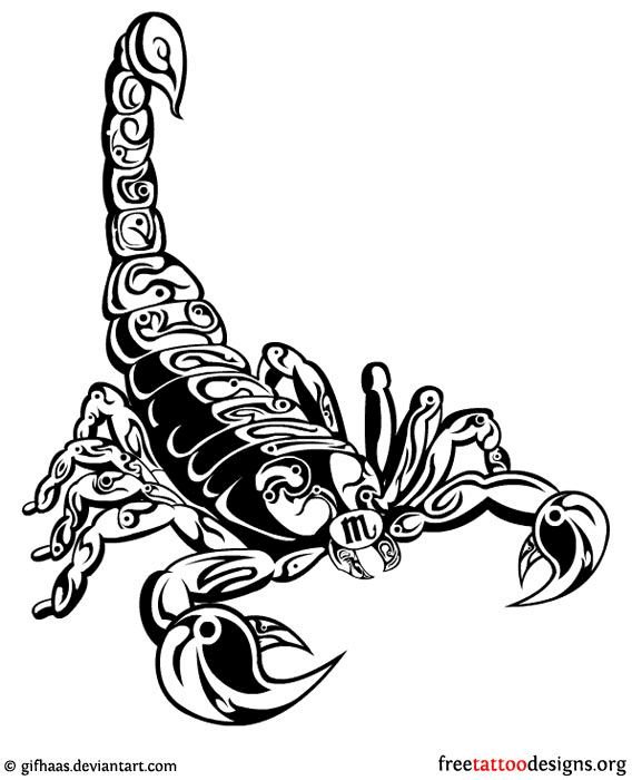 Скорпион эскиз