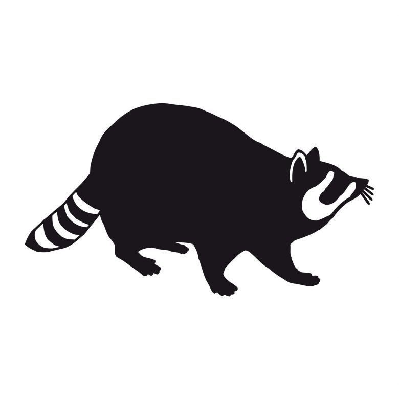 Енот трафарет