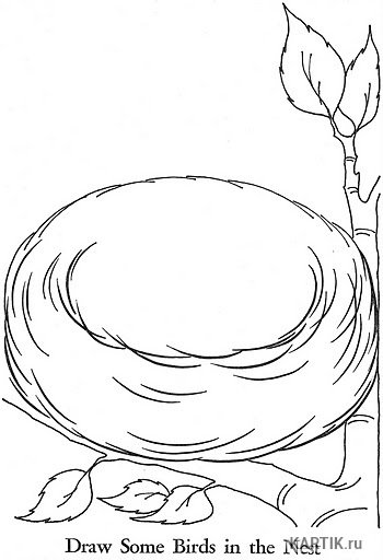 Птичье гнездо раскраска
