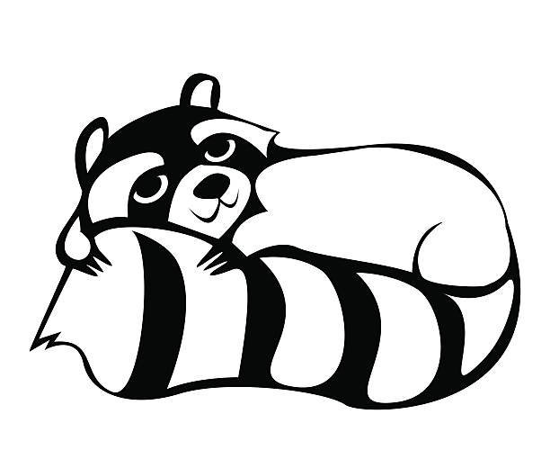 Енот контур