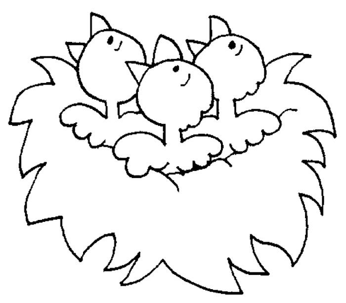 Раскраска птенцы в гнезде