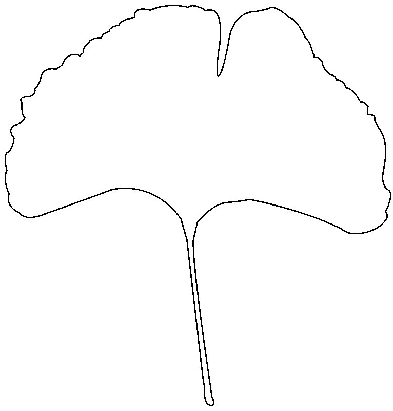 Гинкго трафарет