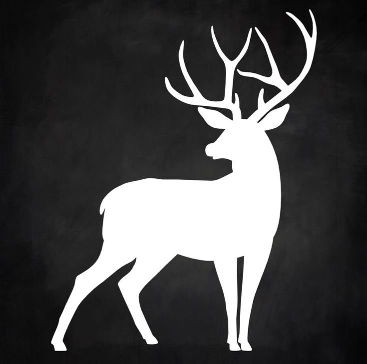 Силуэт оленя