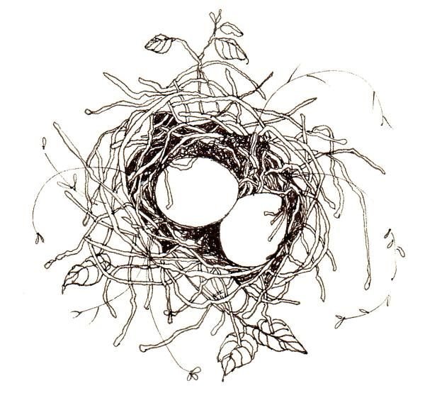 Гнездо раскраска