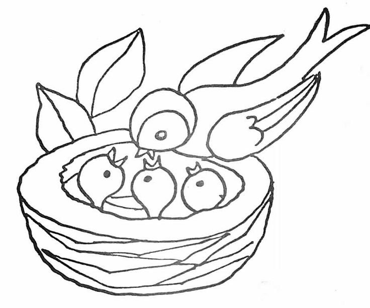 Раскраска гнездо птицы