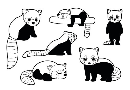 Малая Панда раскраска