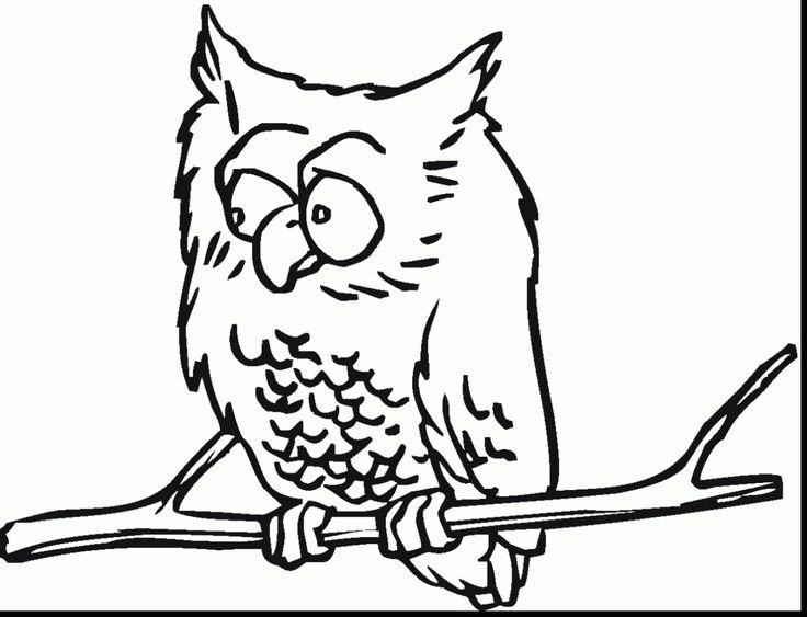 Раскраска Сова