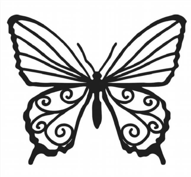 Шаблон бабочки